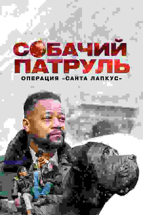 Размытый фон новости